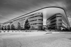 Urban #17