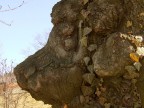 Deformità sul tronco. Deformità sul tronco.