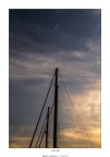 Luna sugli alberi