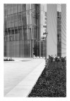 Milano (feb 2017)