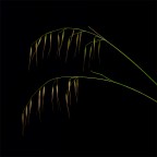 Contest n� 413 Free4U
6� classificata

Suggerimenti e critiche sempre ben accetti