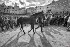 aria di Palio aria di Palio