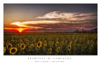 Tramonto di campagna