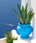 vaso greco vaso greco