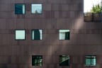 Urban #20