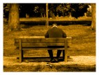 La Solitudine La Solitudine