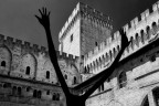 palais des papes palais des papes
