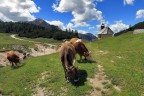 Tra cielo e terra Tra cielo e terra