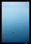 Laguna Blu Laguna Blu