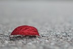 5404 5404
