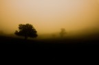 la nebbia la nebbia
