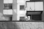 Milano, quartiere Grattosoglio. 30/07/2017 Milano, quartiere Grattosoglio. 30/07/2017