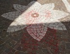 Fiore di pietra Fiore di pietra