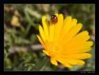 aria di primavera aria di primavera