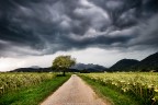 Tempesta in arrivo Tempesta in arrivo