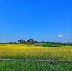 Giallo Giallo