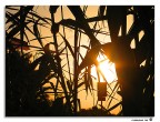 tramonto spiato tramonto spiato