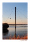 L'albero...della cuccagna L'albero...della cuccagna