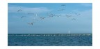Sea landscape Sea landscape