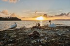 Tramonto in compagnia Tramonto in compagnia
