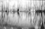 lungo il fiume lungo il fiume