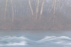 Fog Paint Fog Paint