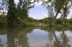 Fiume Mincio Fiume Mincio