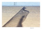 Shadow in shadow