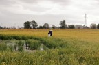 Parco Agricolo Sud Milano Parco Agricolo Sud Milano