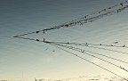 nella riserva di pesca di clara ravaglia nella riserva di pesca di clara ravaglia