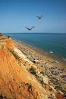 Praia do Falesia, Algarve (P) Praia do Falesia, Algarve (P)