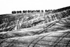 La rivolta delle rotoballe La rivolta delle rotoballe