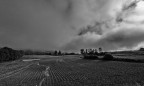 la terra la terra