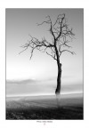 Perso nella nebbia continuo ad esser solo.. Perso nella nebbia continuo ad esser solo..