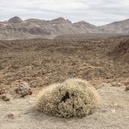 El Teide, Tenerife, Canarias El Teide, Tenerife, Canarias