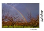 Arcobaleno dopo la pioggia. Arcobaleno dopo la pioggia.