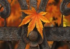 Autunno Autunno