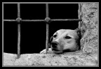 aspettandoti aspettandoti