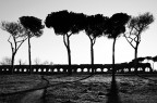 Appia, Roma Appia, Roma