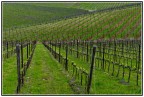Geometrie agricole Geometrie agricole