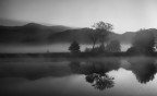Alba Alba