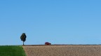 rosso rosso