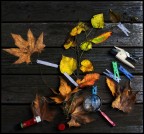 i segreti dell'autunno 3