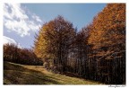 Autunno in Campigna n. 2 Autunno in Campigna n. 2