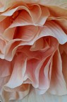 Petali Petali