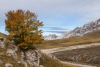 La luce che accarezza il mattino