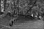 Nel bosco