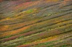 Missoni Missoni