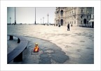 Trieste img.149