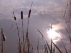 Natura Natura